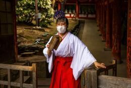 Japan_Sakura_2025 (29/79)